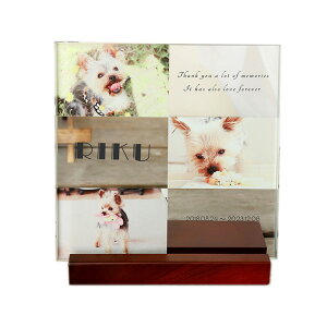 tHgKXX^h for PET | KX ybgAybg ʐ^ tHg vg I[_[Ch  AObY ybg ybg{