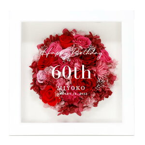 Ήyҗj 60 zCercleiZNjvU[uht[  t[Mtg ԃo bZ[W   MtgΉ LO JXj Vzj LO ̓