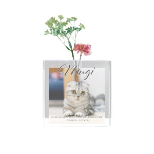 PURE GRACE for PET -sA O[X for ybg- | NX^ KX ybgAybg ʐ^ tHg vg I[_[Ch  AObY ybg ybg{ ֑} 