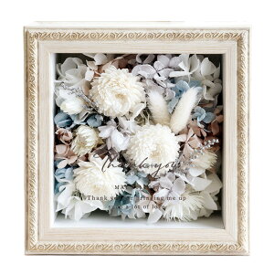 yΉzRaffine -tBl-bvU[uht[\t[ AW Vr[t[  Mtg a j ސEj!