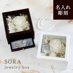 ySORA JewelryBox z WG[{bNX  vU[uht[ vU \t[ ANZT[P[X LO v|[Y v[g 蕨 Mtg bZ[W ސEj 