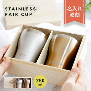  yA^u[yLACOOL-N[- z ˔ 250ml XeX^u[ ۗ ۉ Ȃ d\ O Mtg  Vo[ Ao[  Mtg v[g 