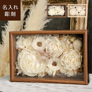 ymerci V[z \ ӏ qĊ LO Ɛѕ\ iNΑ ސE i  \t[ vU[uht[ hCt[ vU t[Mtg t[{bNX 