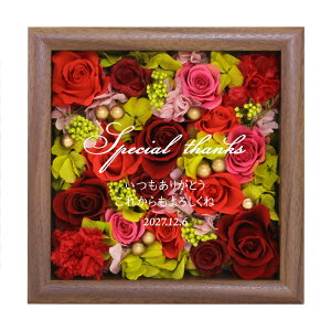  y Nature -i`- z vU[uht[ vU i` GKg  l CeA u Ǌ| 2WAY   j a Vzj LO Fl FB 