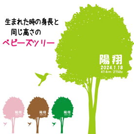 赤ちゃんと同じ大きさの ウォールステッカー 木　祝い　ツリー　プレゼント 記念 誕生 出産　s161
