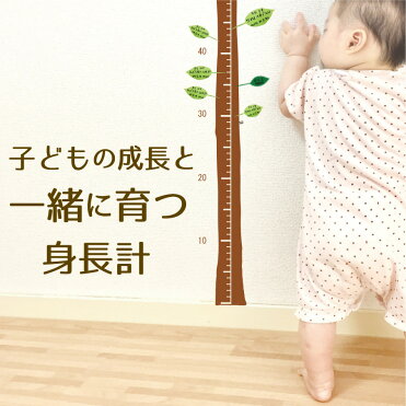 【キッズデザイン賞】身長計 ウォールステッカー シール 子供 メモリ 柱 細い 出産祝い シンプル 成長 安全 子ども 身長 壁 プレゼント 記念 住宅 細い 安全 キッズ｜ROOM - 欲しい! に出会える。