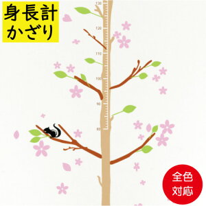 yiz؂̐gvfR[VXebJ[@}ƉԂ̏肪VoIfRu`@fRt[@EH[XebJ[