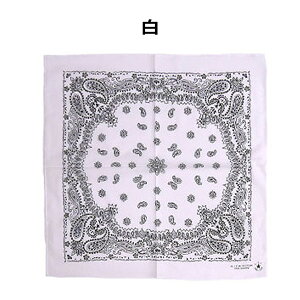 y݌v2˔jzy[֑z o_i 唻 65×65cm rbOo_iB  yCY[ 430 傫 Op Y fB[X LbY WjA K q l q ƒ ^