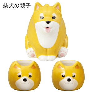 yzeqeB[Zbg | JG V}GiK p_ Č eB[|bg Rbv Zbg }{ 킢 Mtg v[g H  tBMA CeA ObY H 