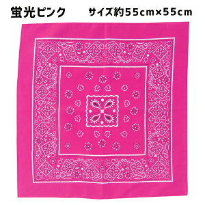 y݌v1˔jzo_i 53cm 55cm yCY[ n  |GXe |    F  F sN F IW   p[v  `NX ٓ Op nJ` XJ[t 