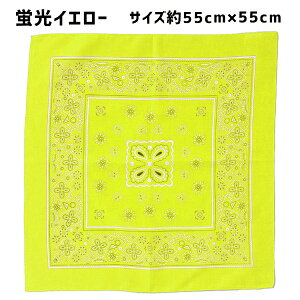 y݌v1˔jzo_i 53cm 55cm yCY[ n  |GXe |    F  F sN F IW   p[v  `NX ٓ Op nJ` XJ[t 