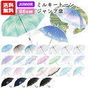 【送料無料】 ミルキートーンアンブレラ 傘 子供 55cm | グラデーション キッズ 子供用 子供 小学生 レインボー こども 女の子 男の子 シンプル 雨具 カサ かさ 透明 POE ビニール傘 おしゃれ かわいい パステル ジャンプ傘 シマエナガ くま SNS映え えながちゃん 1000