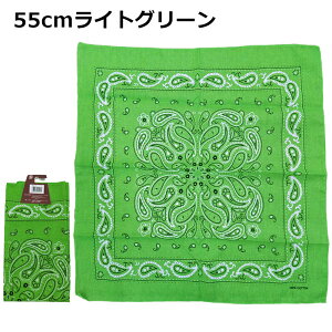 y݌v6˔jzo_i 50cm 55cm yCY[   100% |     F   bh lCr[ O[ ubN nVrRE Rbg100% `NX ٓ Op nJ