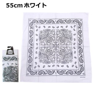 y݌v6˔jzo_i 50cm 55cm yCY[   100% |     F   bh lCr[ O[ ubN nVrRE Rbg100% `NX ٓ Op nJ