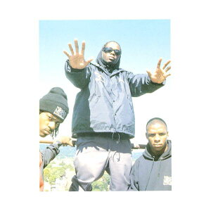 【メール便送料無料】 ノーティ・バイ・ネイチャーポストカード【Naughty by Nature】 通販  プレゼント