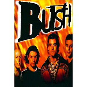 y[֑z ubVyBushz|XgJ[h@ʔ́@@v[g