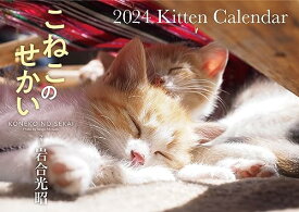 【S17】　こねこのせかい　2024　Kitten Calendar (永岡書店のカレンダー)