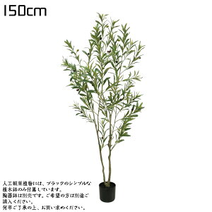tFCNO[ ϗtA 120cm 150cm V̖ tFCN O[ lHϗtA ^ V̖ G} L  rO 傫 { A  썑 gsJ CeA 