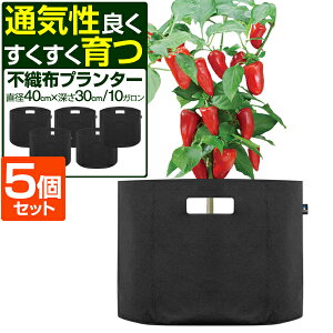 sDzv^[ Aؔ v^[|bg 5Zbg a40cm×[30cm ~` sDz v^[ A ڈ 5`12 z ͔| ܂肽 K[fjO ƒ؉ x_؉ v^