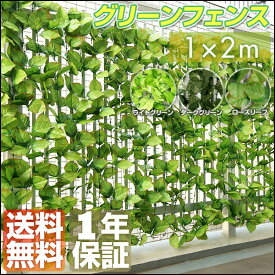 楽天市場 グリーンカーテンの通販
