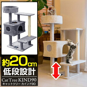 Lbgc[ ^[ u X ȃXy[X 90cm×60cm i nEXt L^[ qL VjAL ^s L KIND90 ܂Ƃ XNb` gݗ ^L  L ˂ y