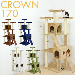 Lbgc[ u X  170cm  55cm nEXt L^[ VjA ^s L CROWN170 gݗ ݒu ȒP ܂Ƃ Ki XNb`  L ˂ ybg ybgpi ybg