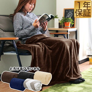 ブランケット 大判 毛布 タオルケット 通販 価格比較 価格 Com