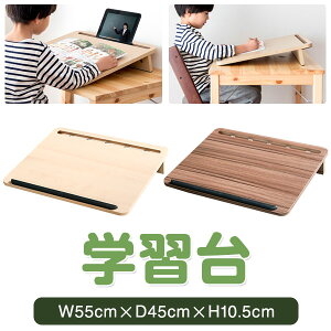 学習台 卓上 学習ボード 幅55cm×45cm 傾斜10° 勉強台 姿勢 猫背 リビング学習 集中力 ライティング ラーニング ボード 学習補助 筆記 読書 子供 こども 学習補助 スマホ・タブレット・PCスタン
