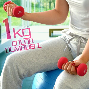 _x 1kg 2Zbg J[_x Zbg v 2kg ؃g ObY g[jO jp j  Y fB[X SAC SA[ Ci[}bX ؗ  GNTTCY 