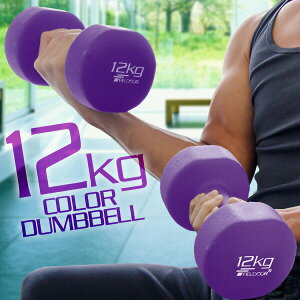 _x 12kg 2Zbg J[_x Zbg v 24kg ؃g ObY g[jO jp j  Y fB[X SAC SA[ Ci[}bX ؗ  GNTTCY 