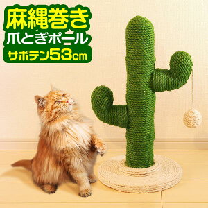 L ܂Ƃ |[ T{e^ ꊪ 53cm u VR   ˂ ߂Ƃ lR ܂Ƃ|[ x ܌ ܖ XgX ~j Lbgc[ Lpi t L