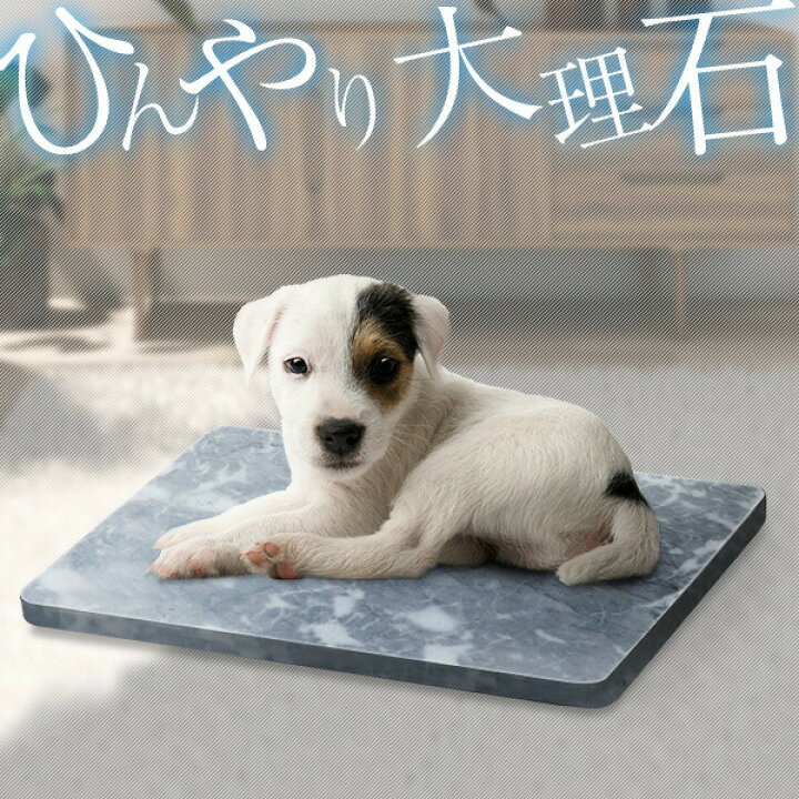 楽天市場 ペット ひんやり マット 大理石 ペット用 マット 犬 冷却 約40cm 30cm 2cm 1枚 天然大理石 バルディリオ 涼しい 冷感 涼感 ひんやりマット クール クールマット ペット ベッド 猫 ねこ 犬 いぬ ペット用品 夏 暑さ対策 ひんやりボード 1年保証 送料無料