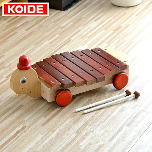 RCf KOIDE {  ߋ JVz M02 ؋ 8 y m  1 2 j̎q ̎q q c xr[ mߋ oYj a Ebh VR Y []