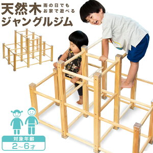 ジャングルジム 室内 木製 2段 耐荷重50kg 天然木 パイン材 アスレチック 遊具 室内遊具 大型遊具 屋内 室内ジム 室内用 家庭用 子供 キッズ 室内 自然 ナチュラル 2歳 3歳 4歳 5歳 6歳 男の子 女