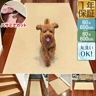 廊下マット ロングカーペット 600cm 幅60cm/幅80cm 吸着 滑り止め付き 洗える ロング 長い ろう下 カーペ…