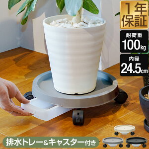 Aؔ 󂯎M 󂯕t LX^[ 28.5cm ی^ gC M ϗtA A  M  LX^[tv^[g[ v^[X^h ړ  h~ v^[ t