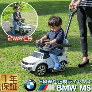 pߋ BMW  艟 2WAY BMW M5V[Y BMWF KCZX ǎ vbVo[t O  蕨 O OV  S K[h w Xebv ]|h~ Xgbp[t 1