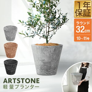 v^[ ^ X a32cm×29cm  Eh v^[{bNX Aؔ AJo[ v^[Jo[ Jo[ 6`10A11  O y A[gXg[ r  K[
