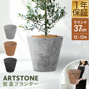 屋外 鉢植えの人気商品・通販・価格比較 - 価格.com