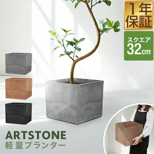 v^[ ^ 32cm×29cm lp XNGA v^[{bNX Aؔ AJo[ v^[Jo[ Jo[ 6`10A11  O y A[gXg[ K[fjO ϗtA 