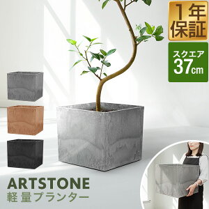 v^[ ^ 37cm×32.5cm lp XNGA v^[{bNX Aؔ AJo[ v^[Jo[ Jo[ 8`12A13  O y A[gXg[ K[fjO ϗtA 