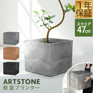 v^[ ^ 47cm×42cm lp XNGA v^[{bNX Aؔ AJo[ v^[Jo[ Jo[ 10`14A15  O y A[gXg[ K[fjO ϗtA 