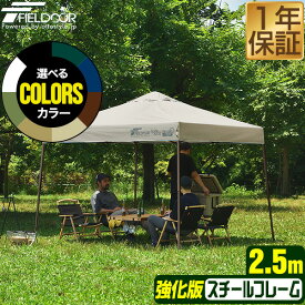ワンタッチタープテント 2.5m×2.5m スチール 強化版フレーム テント タープ 250cm ワンタッチ ワンタッチテント ワンタッチタープ 大型 UV加工 撥水 ベンチレーション 収納バッグ付 日よけ イベント アウトドア キャンプ BBQ FIELDOOR ●[送料無料]