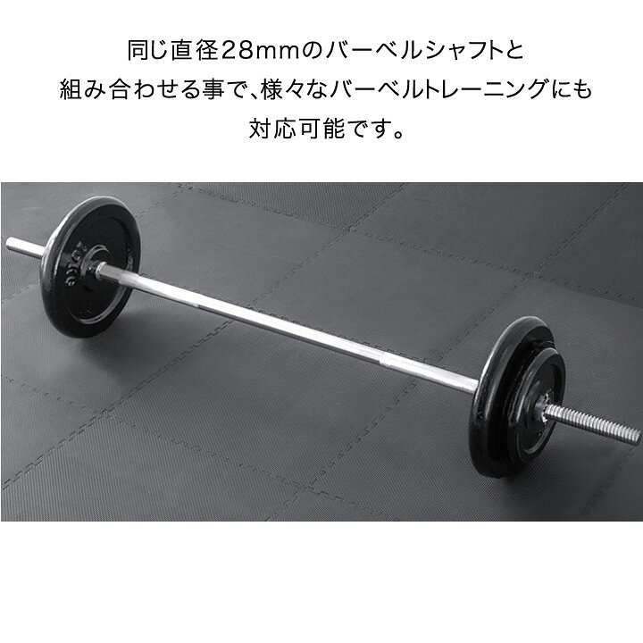 楽天市場】ダンベル バーベル 用 プレート 1.25kg/2.5kg/5kg/10kg/15kg 