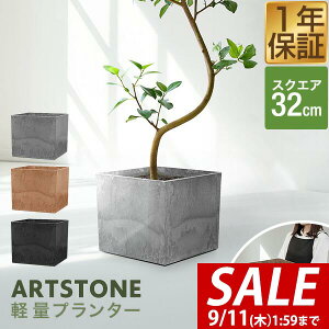 y5,500~SALE4,950~`9/11()01:59܂Łzv^[ ^ 32cm×29cm lp XNGA v^[{bNX Aؔ AJo[ v^[Jo[ Jo[ 6`10A11  O y A