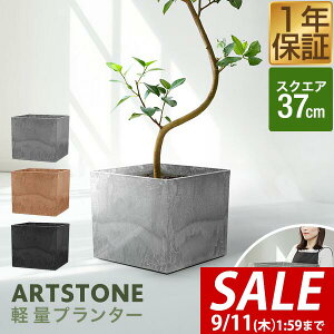 y7,260~SALE6,600~`9/11()01:59܂Łzv^[ ^ 37cm×32.5cm lp XNGA v^[{bNX Aؔ AJo[ v^[Jo[ Jo[ 8`12A13  O y 