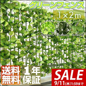 y2,970~SALE2,860~`9/11()01:59܂ŁzO[tFX 1m×2m ΂̃J[e ډB O[J[e ډBtFX x_ t O[  J[e tFX A o t gX