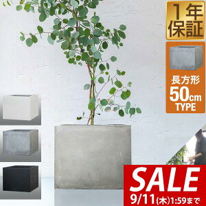y10,890~SALE9,900~`9/11()01:59܂Łz v^[ ^ 50×50cm 40cm XNGA ` [^ t@Co[NC Aؔ AJo[ Jo[ ڈ 5`12 O  K[fjO ϗtA