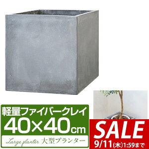 y7,150~SALE6,490~`9/11()01:59܂Łzv^[ ^ 40×40cm XNGA ` [^ t@Co[NC Aؔ AJo[ Jo[ ڈ 5`8 O  K[fjO ϗtA  y