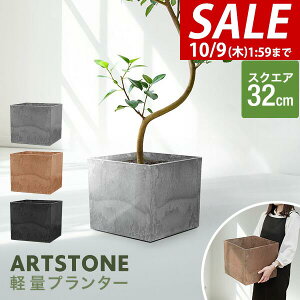 y10/1_tf[zv^[ ^ 32cm×29cm lp XNGA v^[{bNX Aؔ AJo[ v^[Jo[ Jo[ 6`10A11  O y A[gXg[